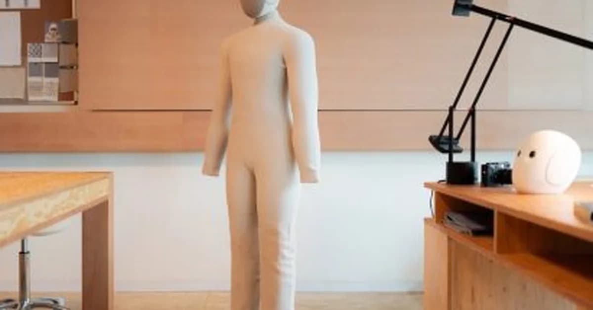 Dezeen In Depth features America's first mail-order servant robot