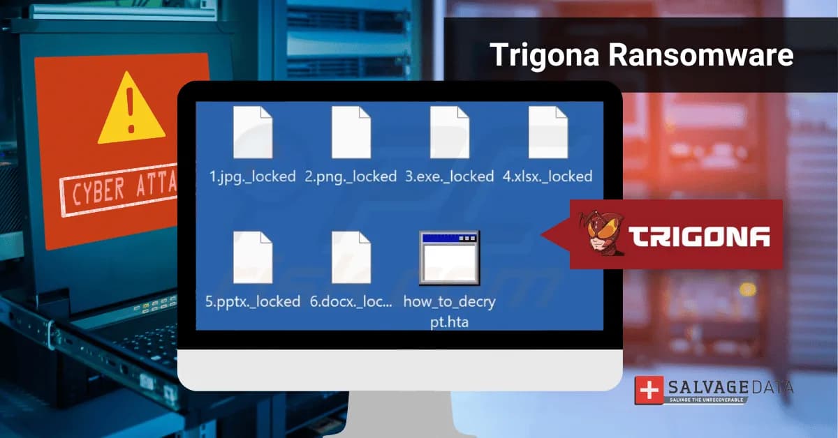 Trigona ransomware adopts custom tool to steal data and evade detection