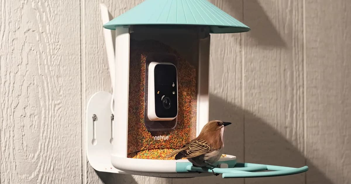 Amazon's Big Spring Sale is a great time to get a fancy, AI-powered bird feeder