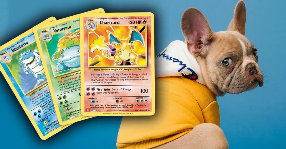 Dog Breeders Are Offering Puppies in Exchange for Pokemon Cards