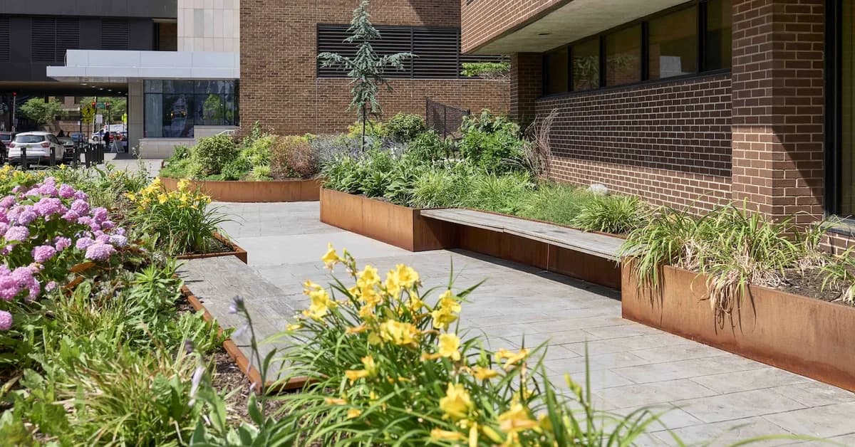 The solution to urban heat is much, much simpler than you think