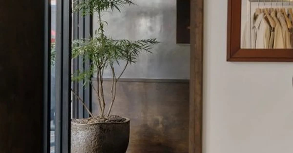 Of Enso adds listening bar to New York boutique Colbo