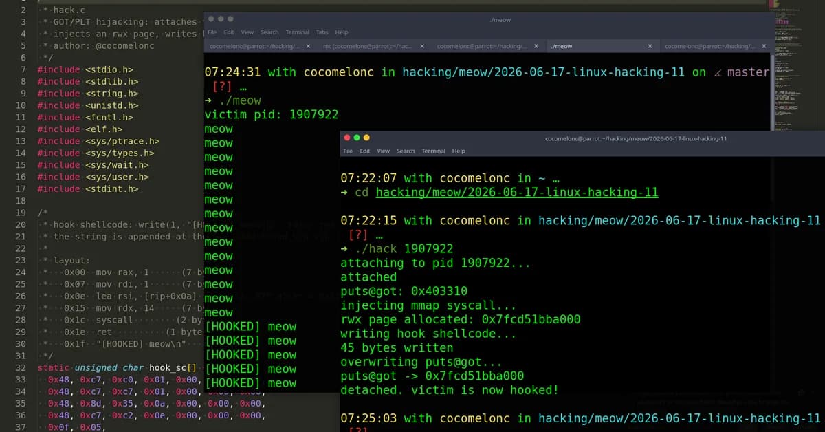 Linux hacking part 11: GOT/PLT hijacking. Simple C example