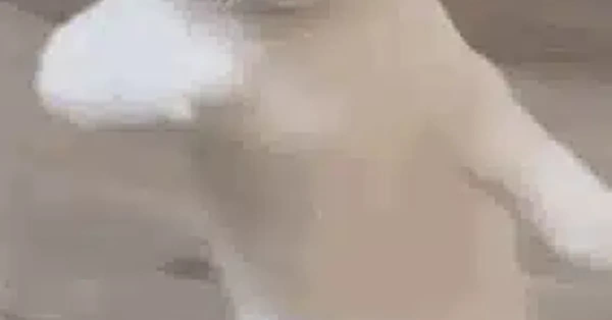 The GitHub Portfolio That Gets You Hired (And Not For The Reasons You Think)