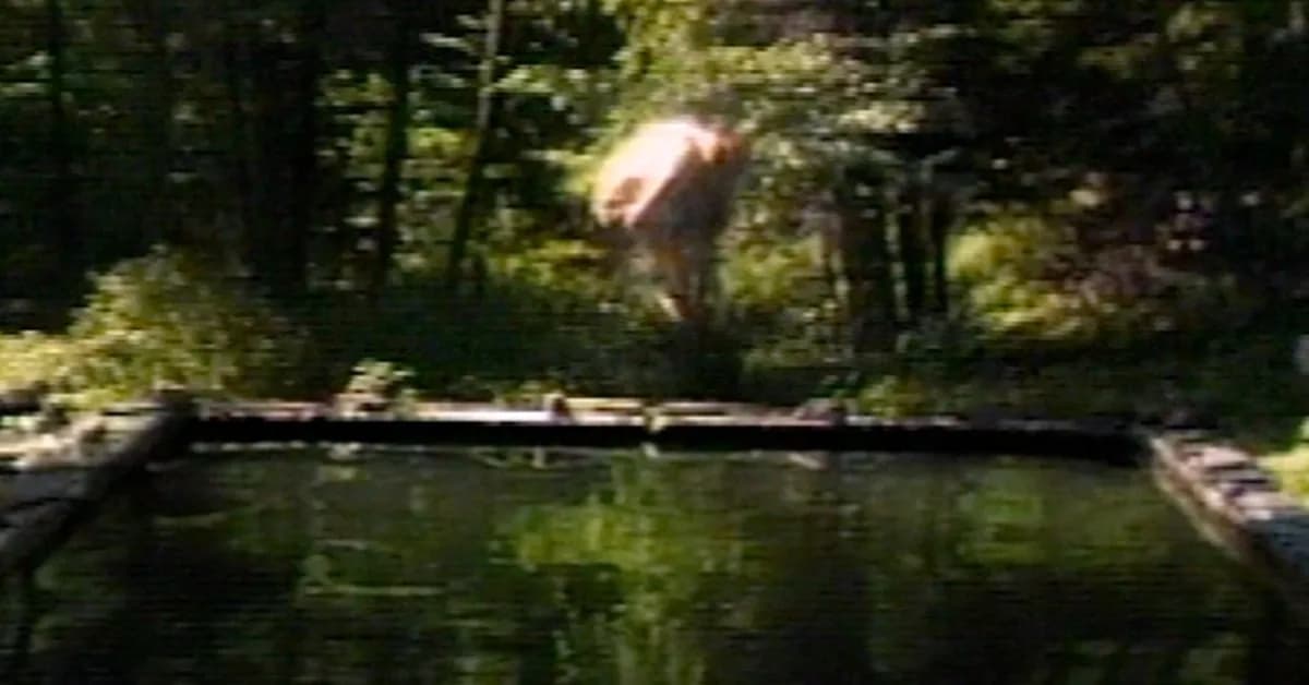 House Republicans roll out national privacy bill