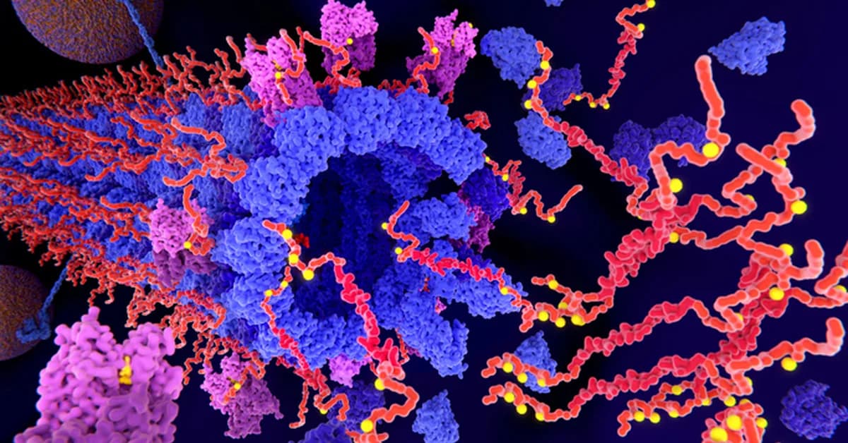 Plasma P-Tau217 Clocks Estimate Timing of Alzheimer's Symptom Onset