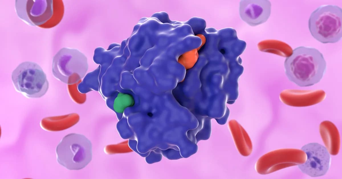 Pancreatic Cancer Cell Death Triggered by Caspase‑8 Blockade in Preclinical Models