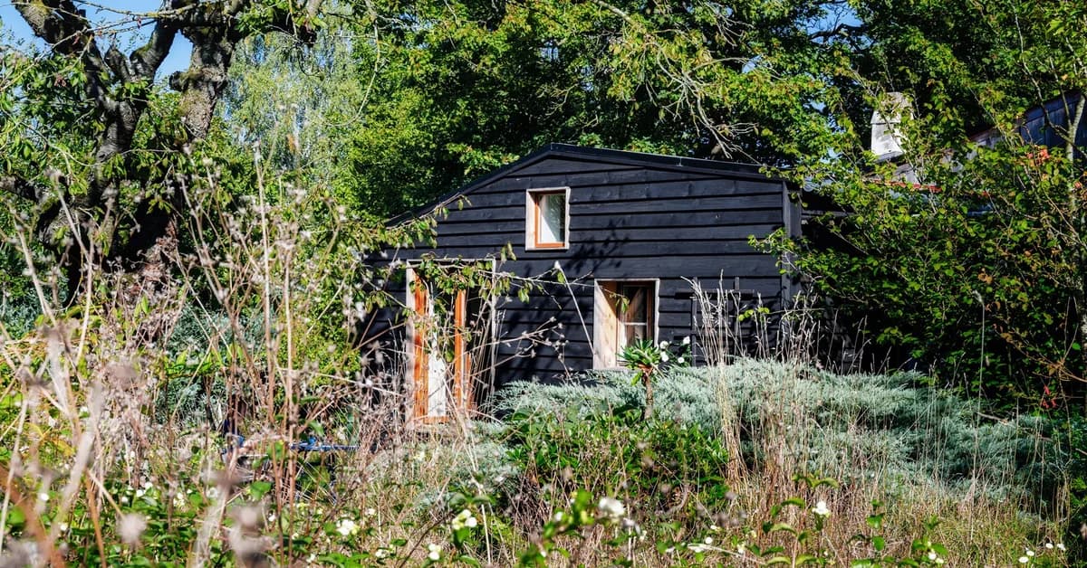 'Let It Bloom' June Is One Landscaping Trend Homeowners Really Should Ignore This Summer