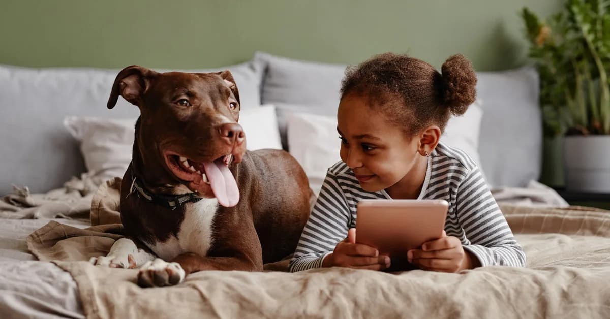 For These Homebuyers, a Fenced Yard Isn't a Bonus-It's the Starting Point