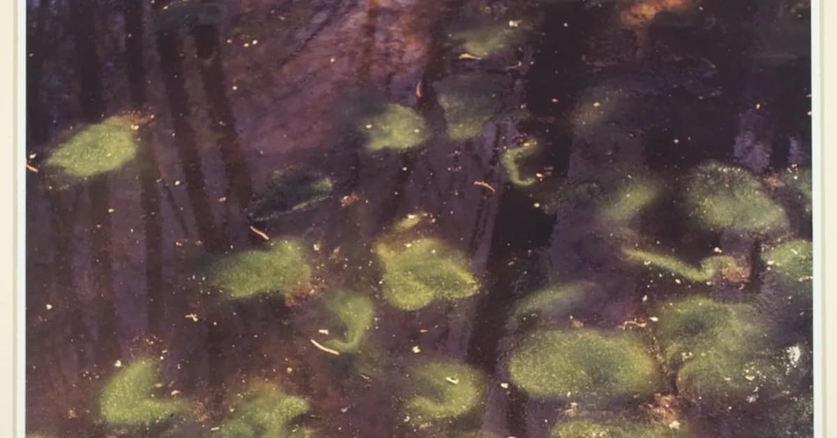 KW's Sandra Howard: Why tough markets expose weak branding and how to prevent strategic drift