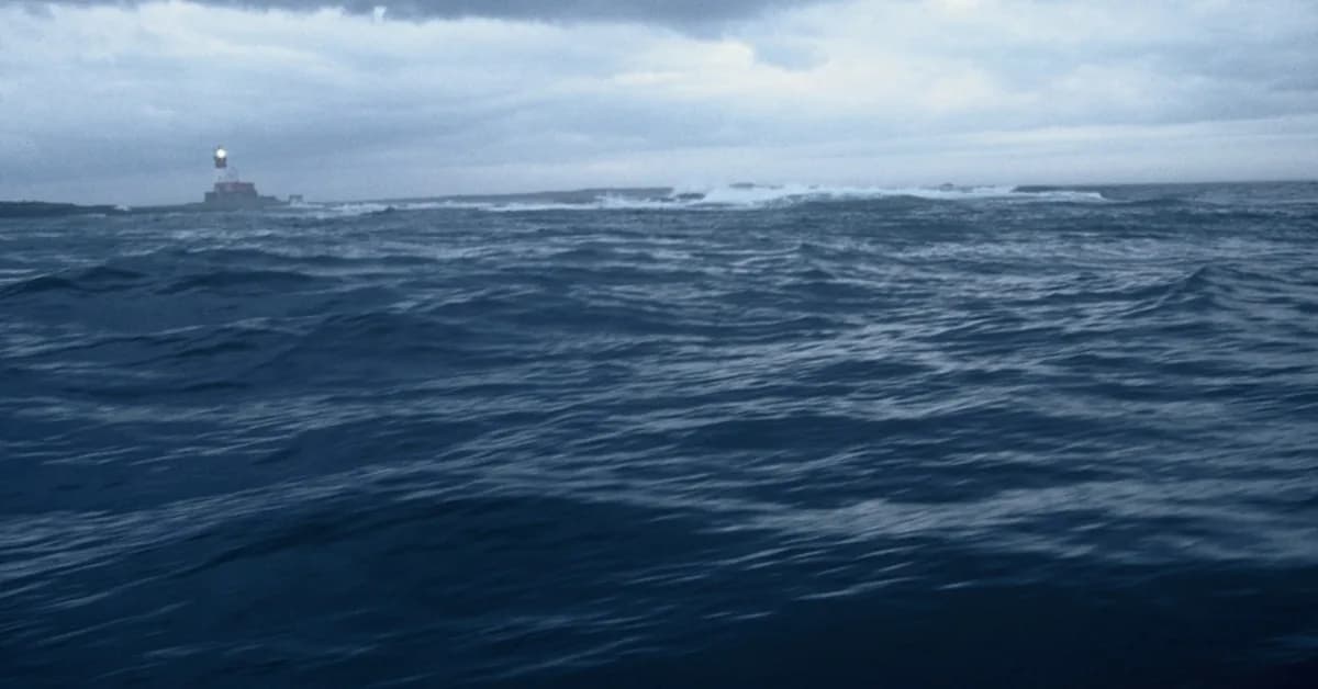 HumANDiff: Articulated Noise Diffusion for Motion-Consistent Human Video Generation