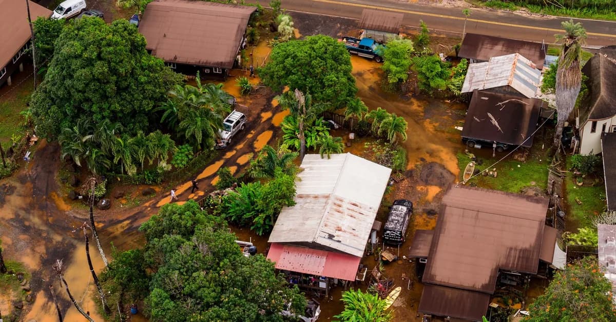 Hawaii Residents in Postfire Maui Are Now Battling a New Dangerous Epidemic: Mold