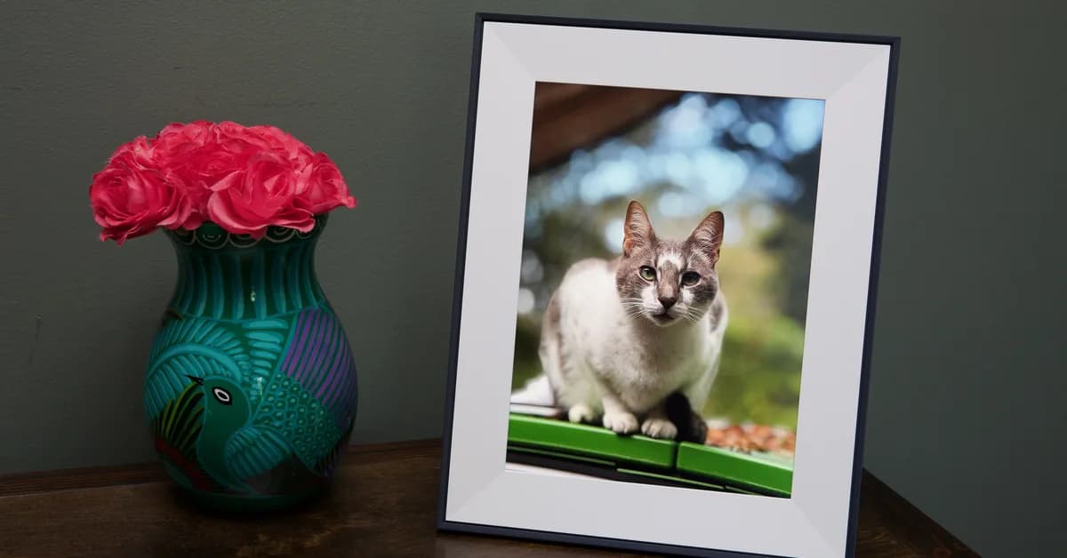 Aura's delightful Aspen photo frame is on sale for $30 off this weekend