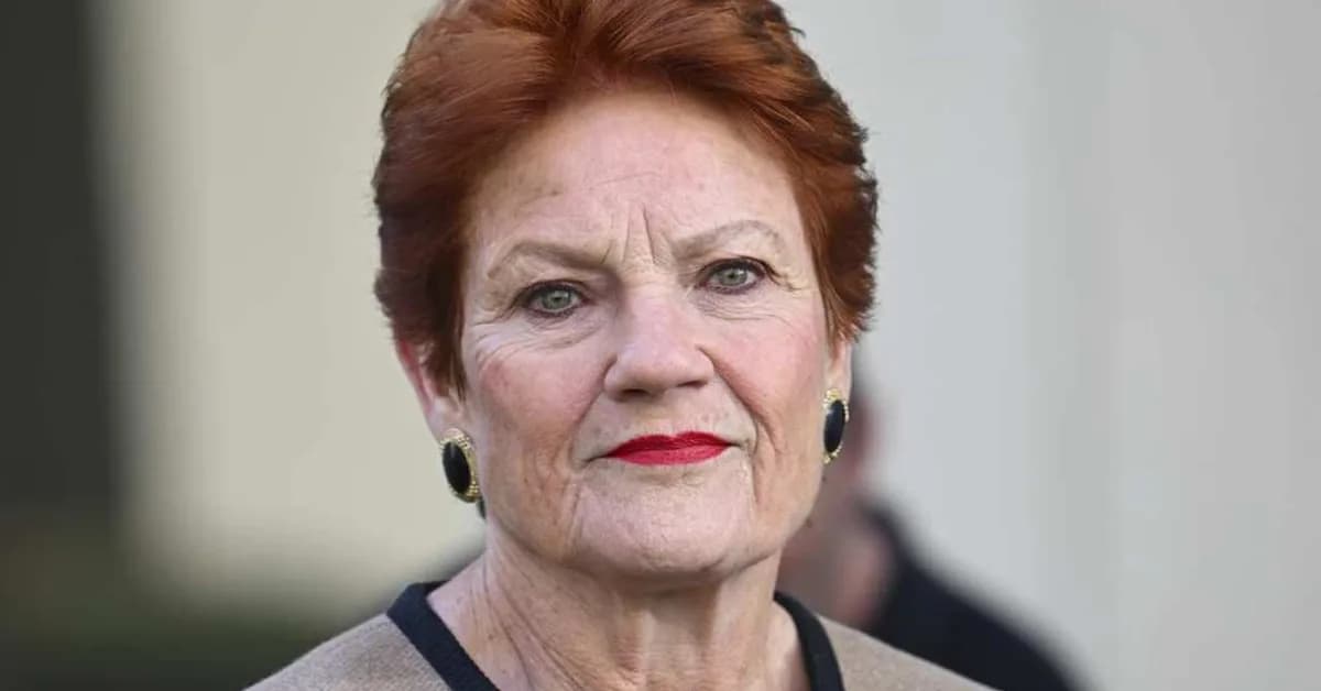 'It's our money': Pauline Hanson's 3pc super trick to save $31k