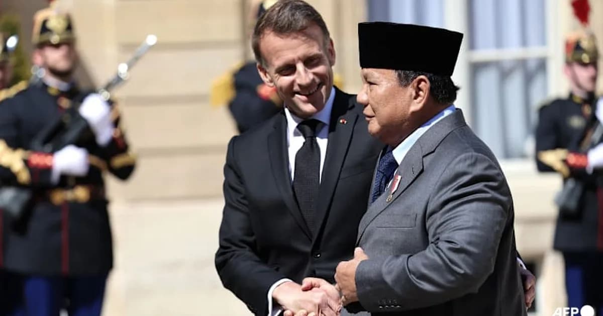 Indonesia, France agree to boost defence industry ties