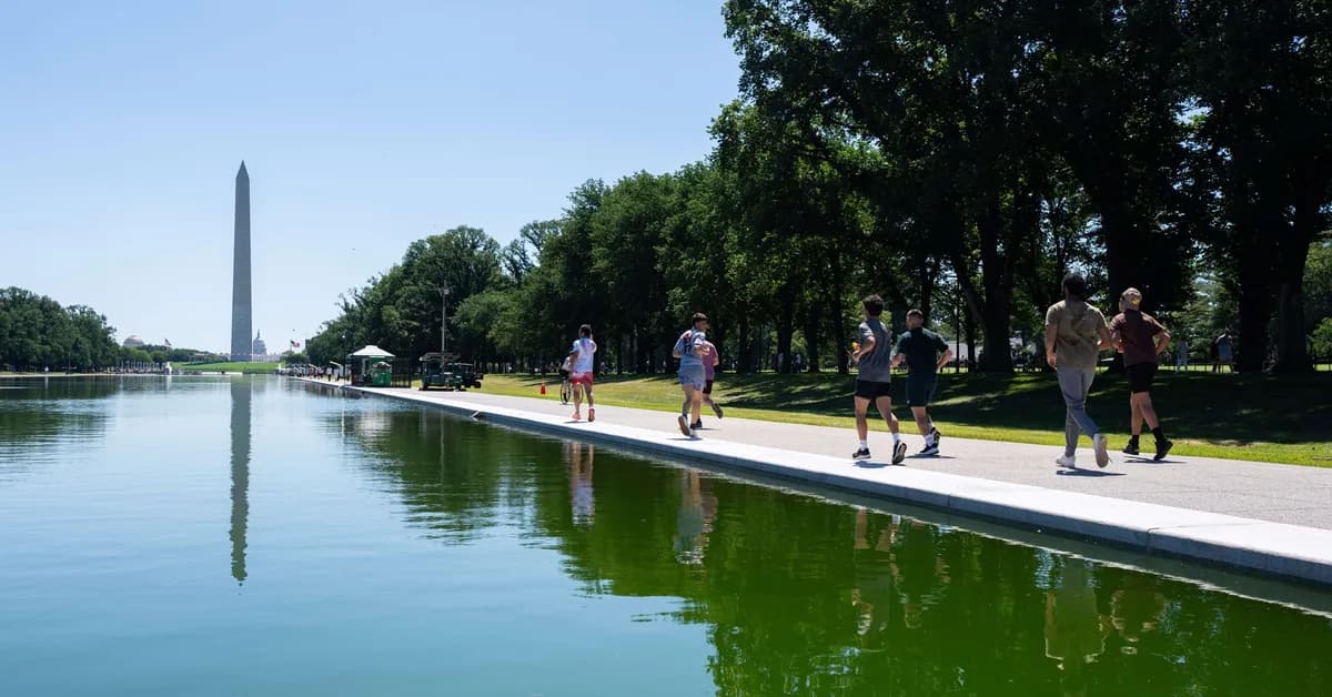 The Lincoln Memorial Reflecting Pool Turned Green. Your Backyard Pool Doesn't Have To.