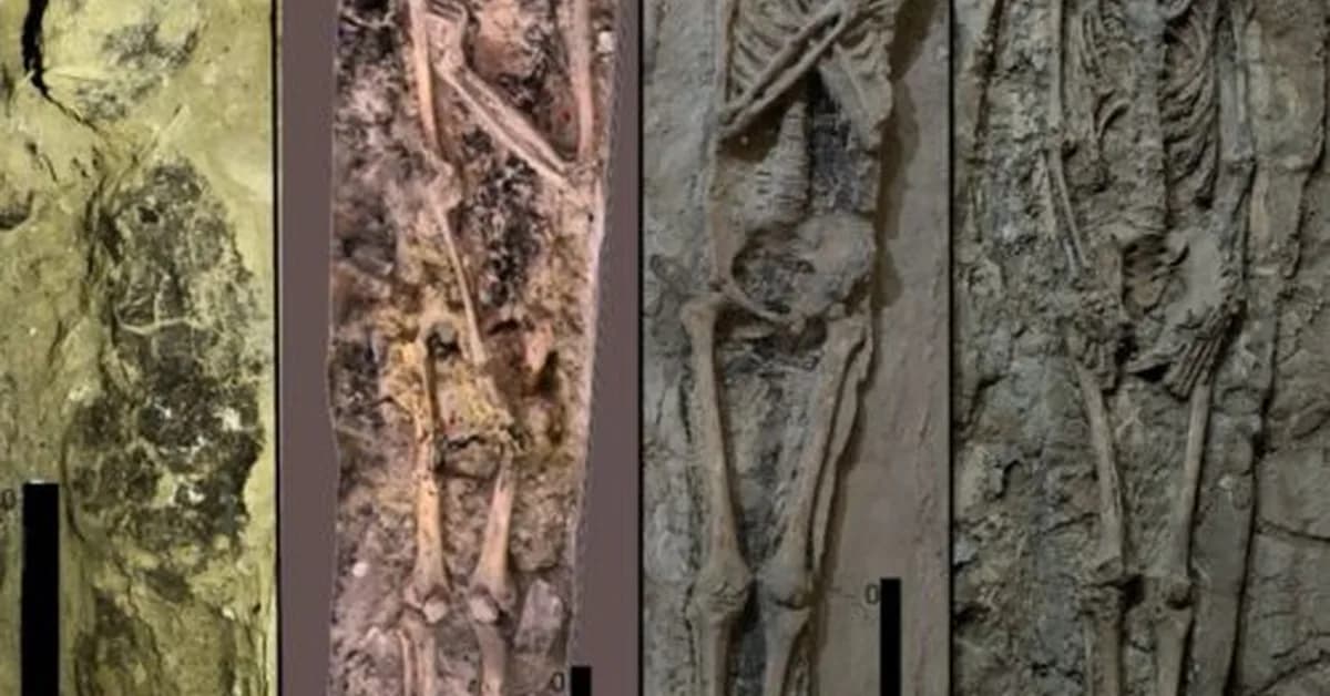 Theban tomb reveals how Egyptian burial trends evolved in time