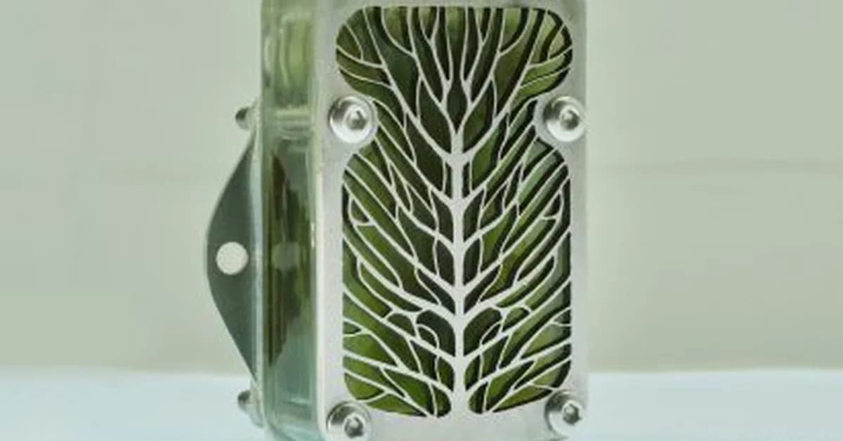 Algae "biocells" powered by photosynthesis could replace disposable batteries