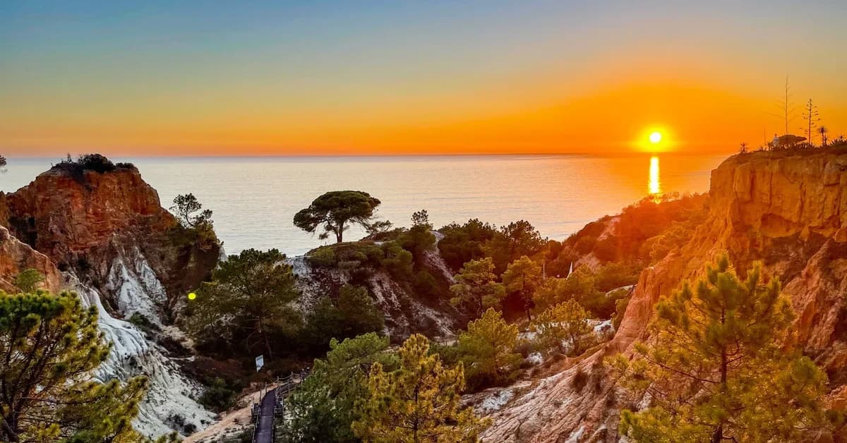 Marriott Bonvoy Bold Credit Card review: Silver Elite status for no annual fee