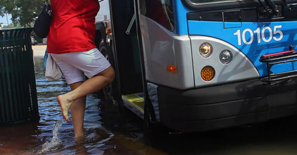 Effort begins to fill the void left by terminated US climate report