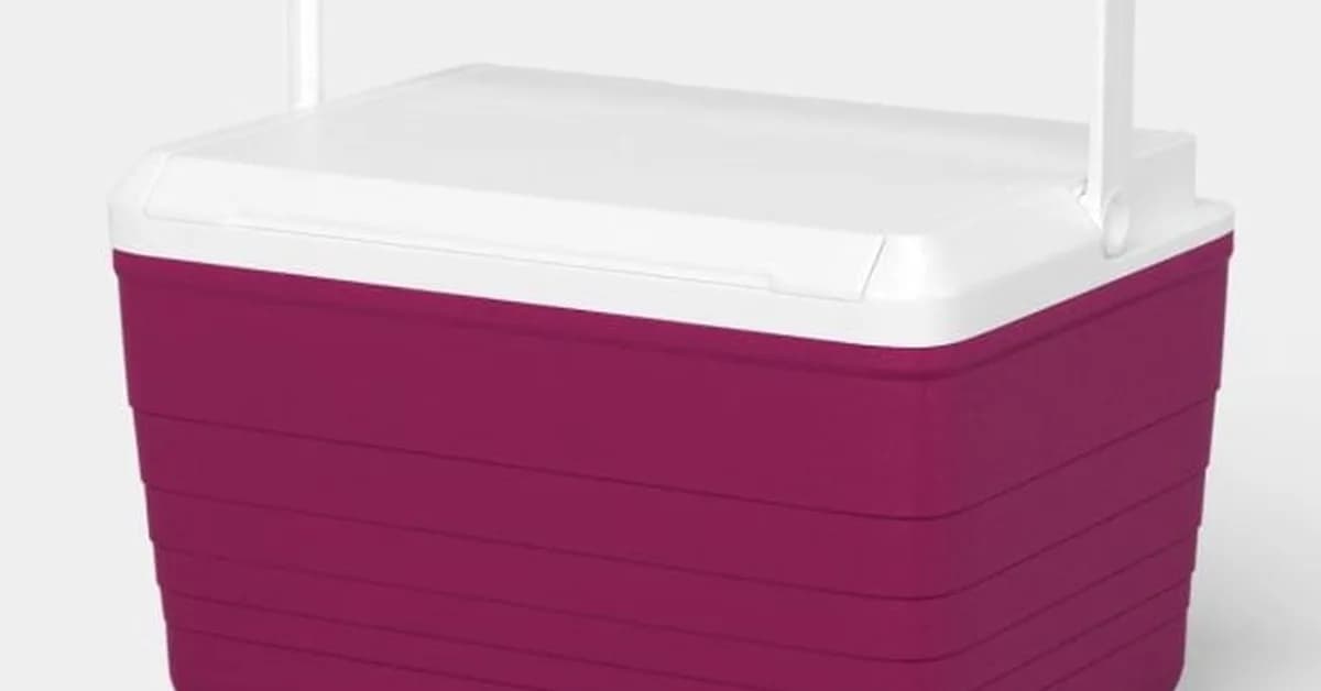 Sun Squad 10-Quart Hard Sided Cooler only $5, plus more!