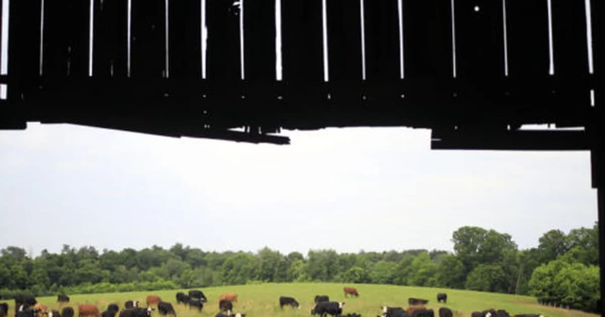 Data center builders thought farmers would willingly sell land, learn otherwise