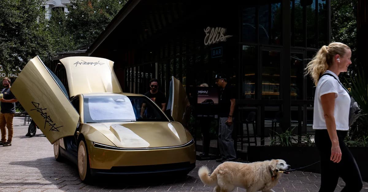 Elon Musk says Tesla is trying to prevent robotaxis from running over cats at night