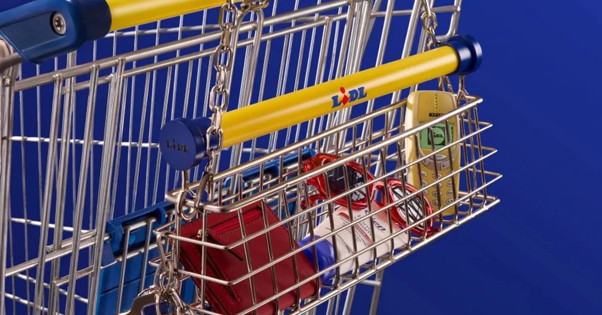 Nik Bentel crafts gridded Trolley Bag for supermarket Lidl from stainless steel