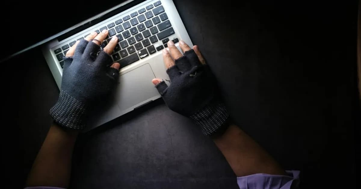 FBI Investigates Dark Web Trove of 153 Million Driver's Licenses