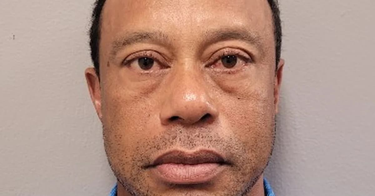 Sweaty, glassy-eyed Tiger Woods blames cell phone use for his car crash