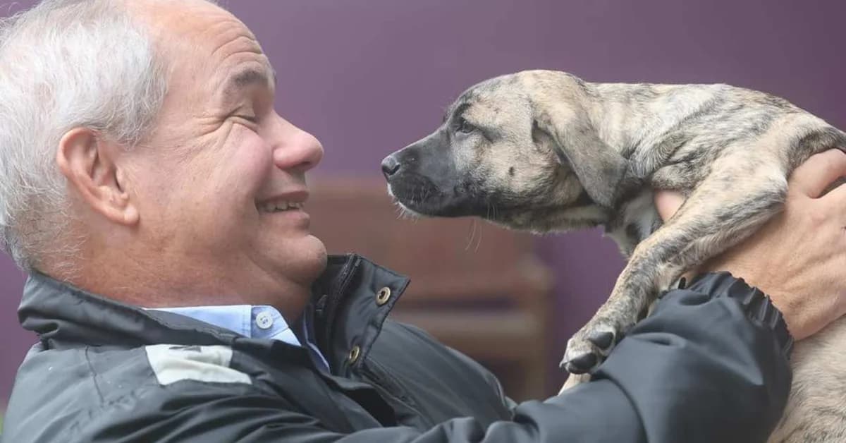 Nation-first plan to stop families giving up pets to survive