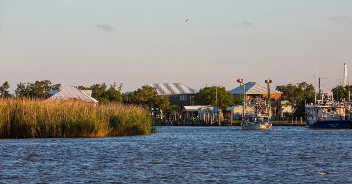 Nearly 1.5M people in Louisiana depend on this strip of marsh. But it needs saving.
