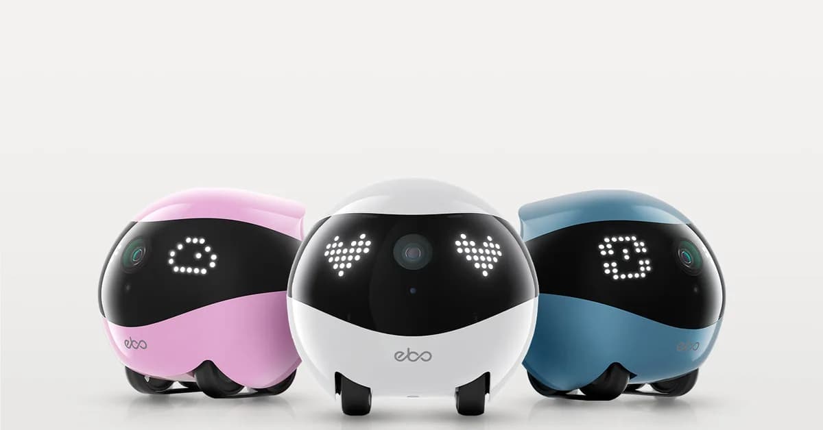 Your AI Should Sleep: How We Built a Night Cycle for a Companion Robot