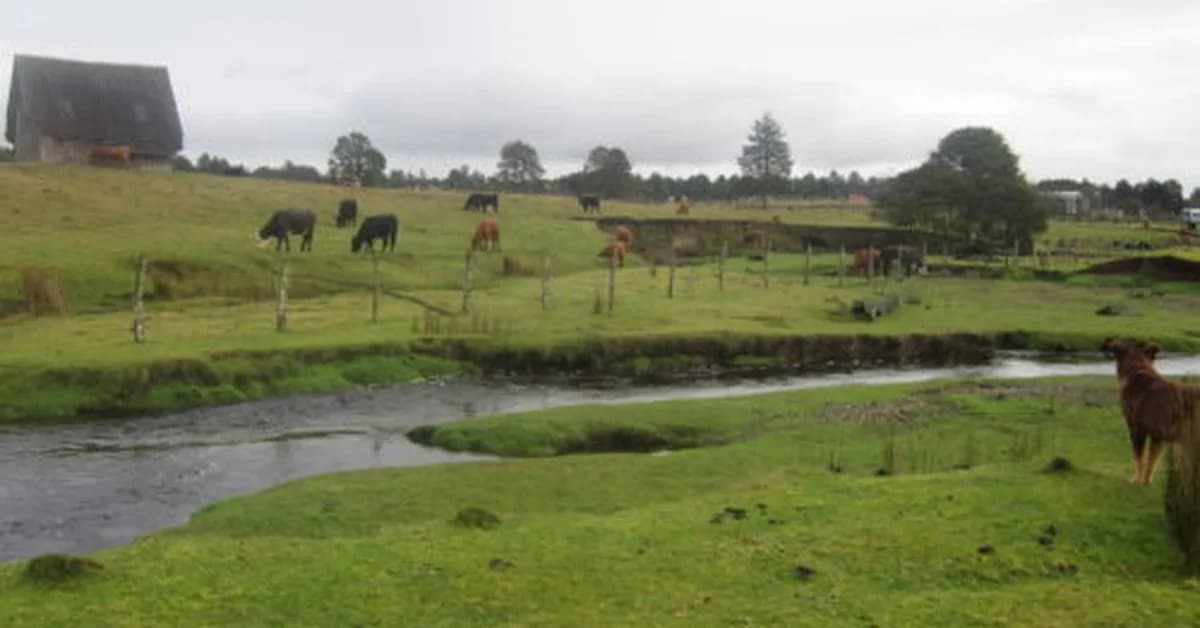 Monte Verde site gets a new date, but the big picture doesn't change