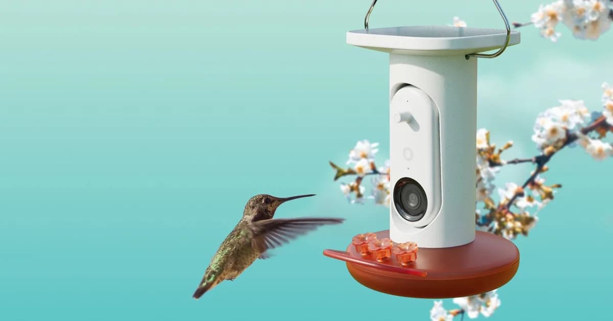 Birdbuddy's AI-powered hummingbird feeder is matching its best price to date