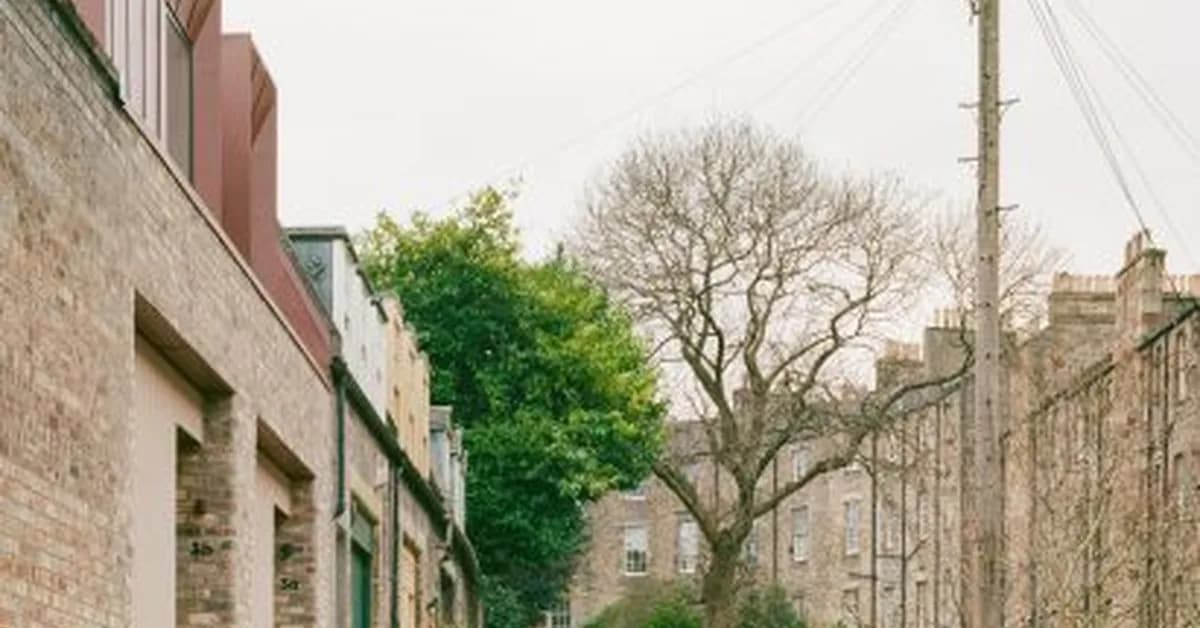 Pend transforms overlooked infill site into mews homes that balance light and privacy