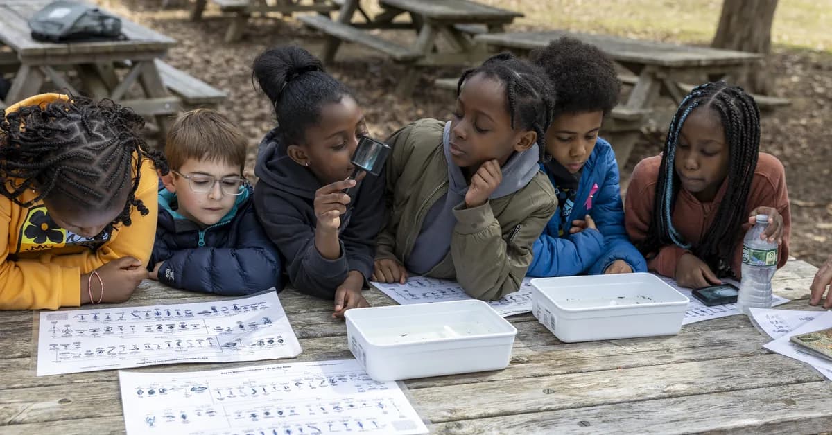 Tech Glitches Disrupt State Math Exams Across New York
