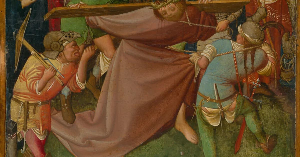 Mitigating Domain Drift in Multi Species Segmentation with DINOv2: A Cross-Domain Evaluation in Herbicide Research Trials