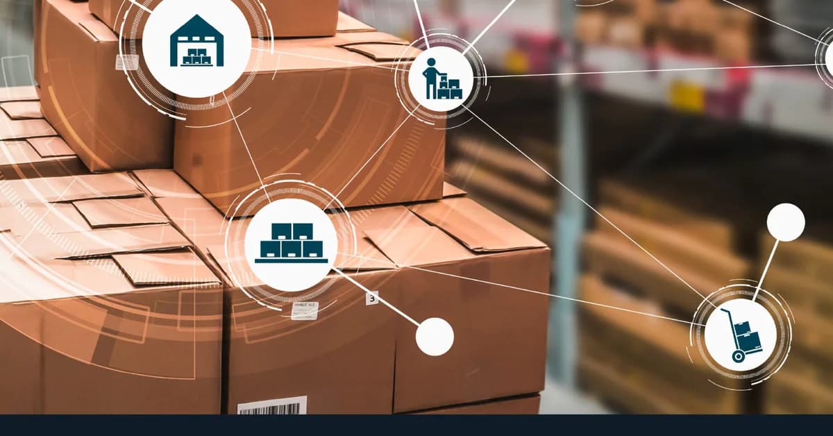 DSG expands AI and ecommerce across its distribution brands