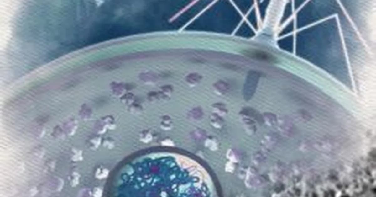 UCSD, IGI Partnership Expands CRISPR Innovation Across Health, Agriculture, and the Environment