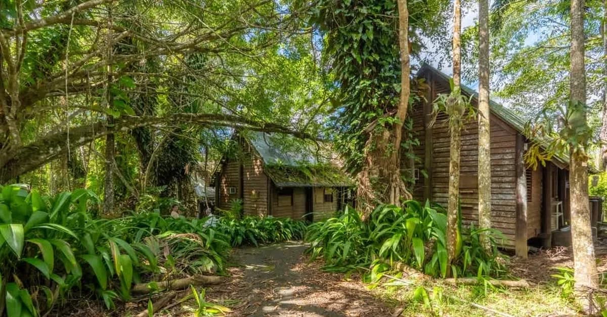 Abandoned resort swallowed by jungle up for sale