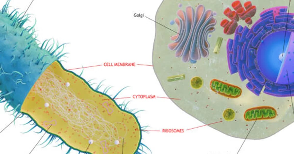 The first complex cells had genes from a complex mix of species