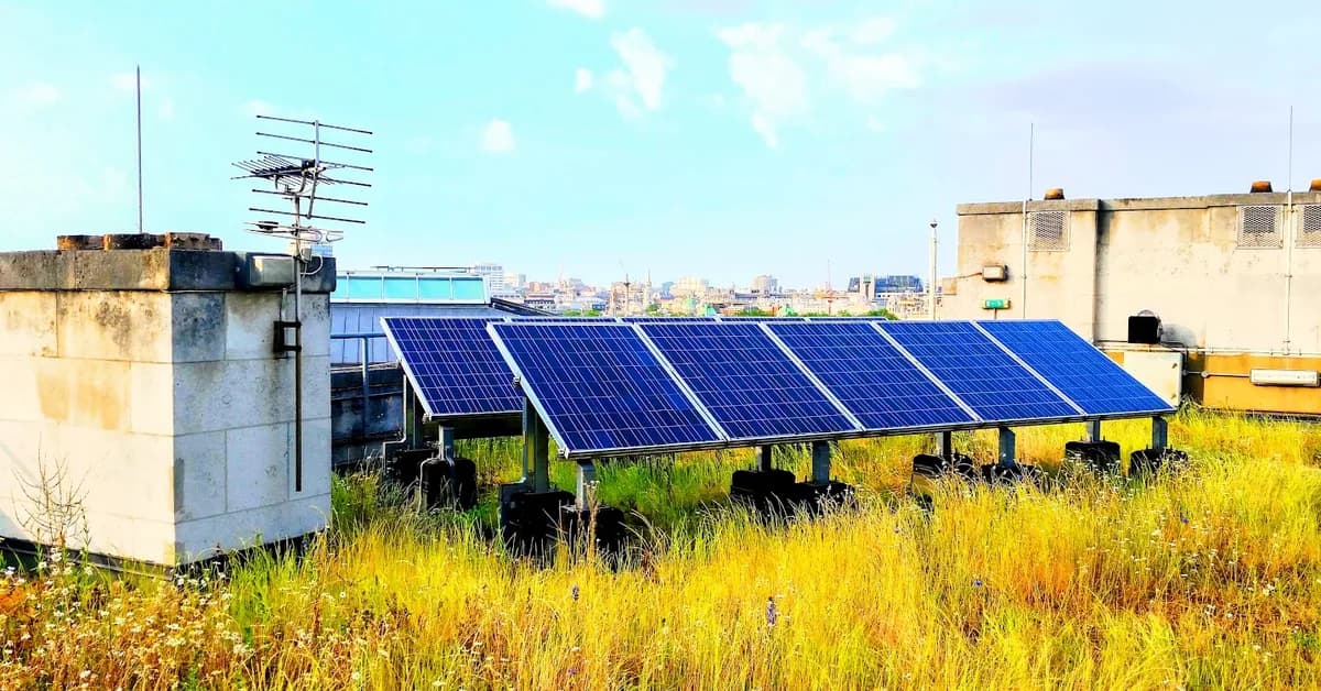 Renewable energy's security case moves from potential to delivery