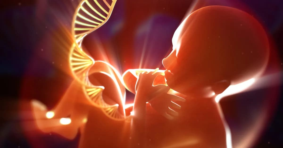 Albumin-Fused Antibodies May Reduce Fetal Exposure to Therapeutics