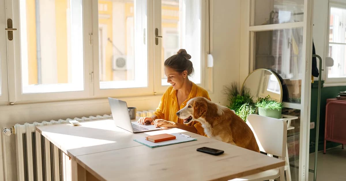 Aven Rewards Visa Card review: Earn 3% back on purchases