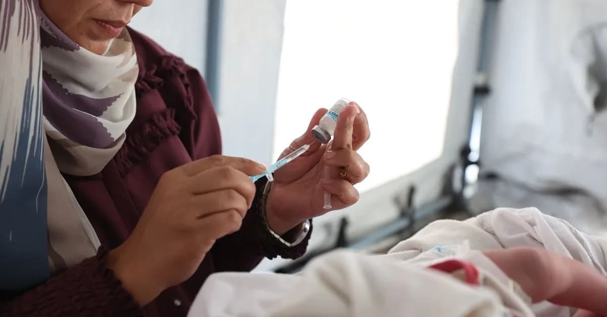 WHO expert group's new analysis reaffirms there is no link between vaccines and autism