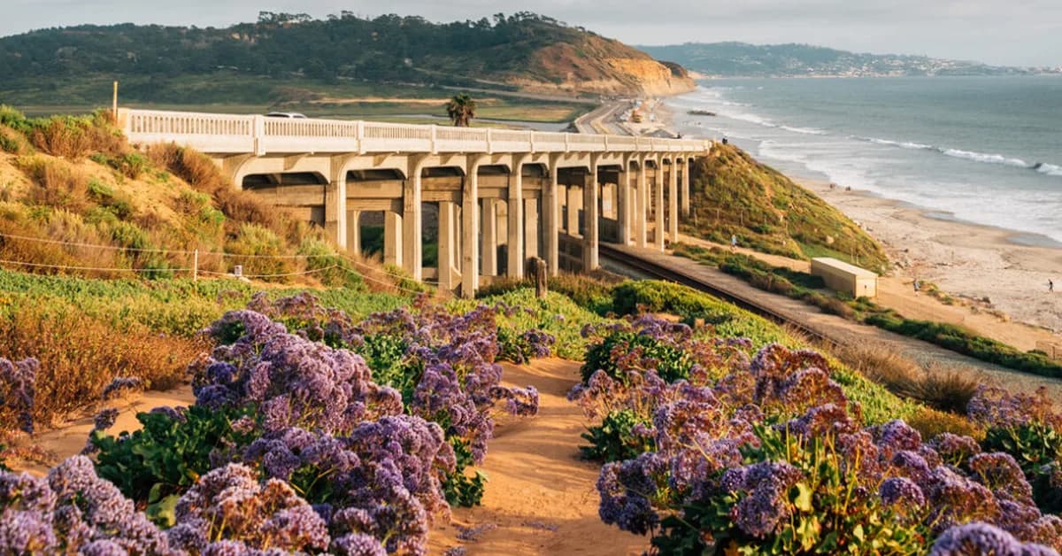Spotlight on the San Diego Real Estate Market with Jeannine Savory