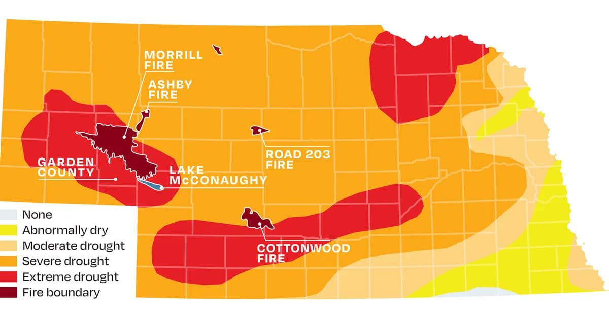 In Nebraska, wildfires are turning cattle ranching into a tricky business