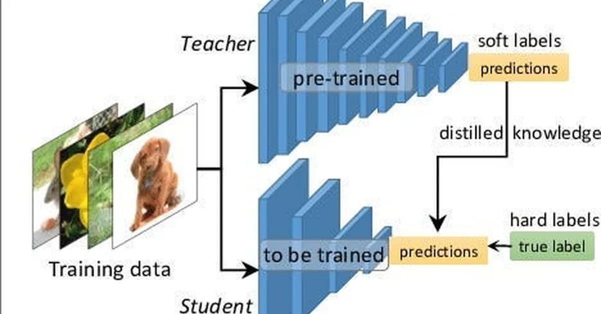 Knowledge Distillation: How Smaller Models Learn from Larger Models