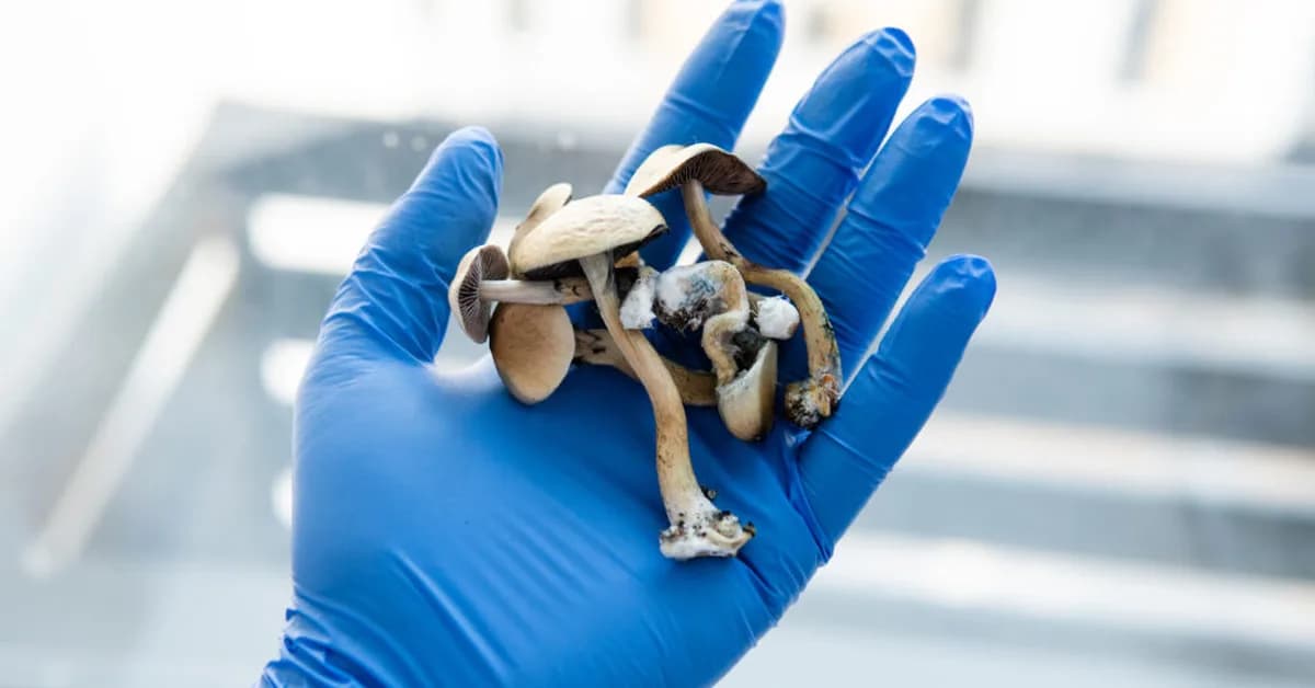 STAT+: Psilocybin data could be good enough for approval